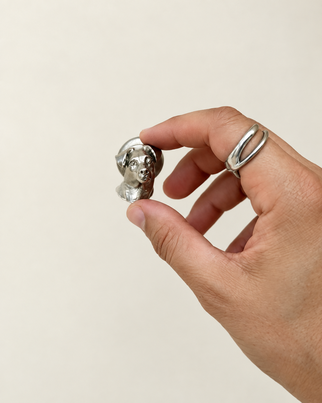 Dog-head cabinet knob held in a hand